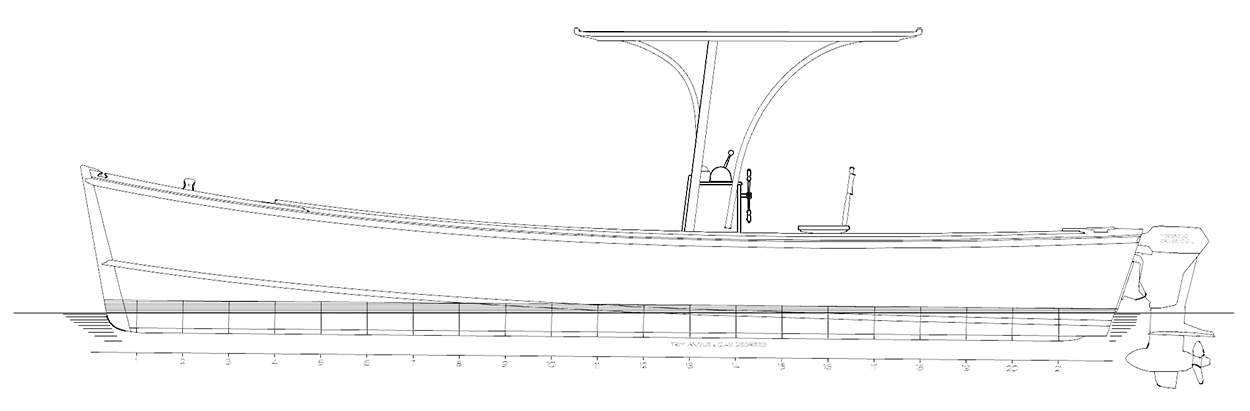 AUK line drawing