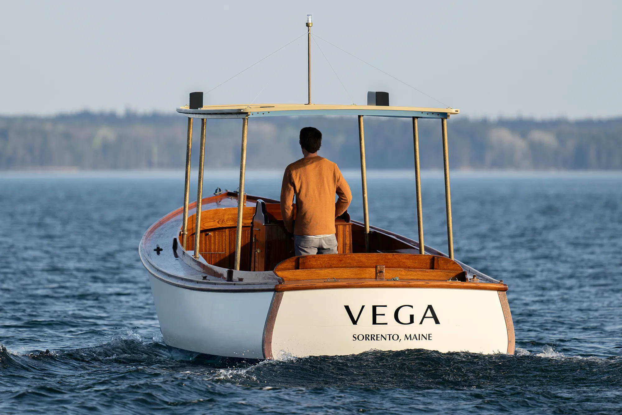 Vega